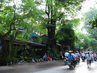 Chào bán đất mặt phố hoàng hoa thám, tây hồ