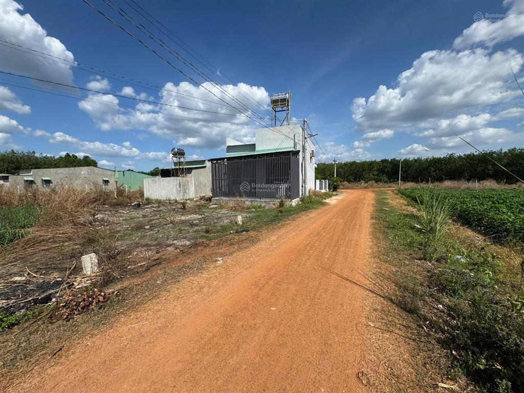 Bán đất đường tân hiệp, tân châu, tây ninh 5x60m, giá 388 triệu