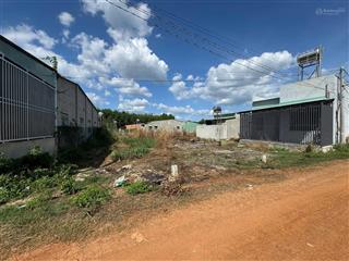 Bán đất đường tân hiệp, tân châu, tây ninh  5x60m, giá 388 triệu