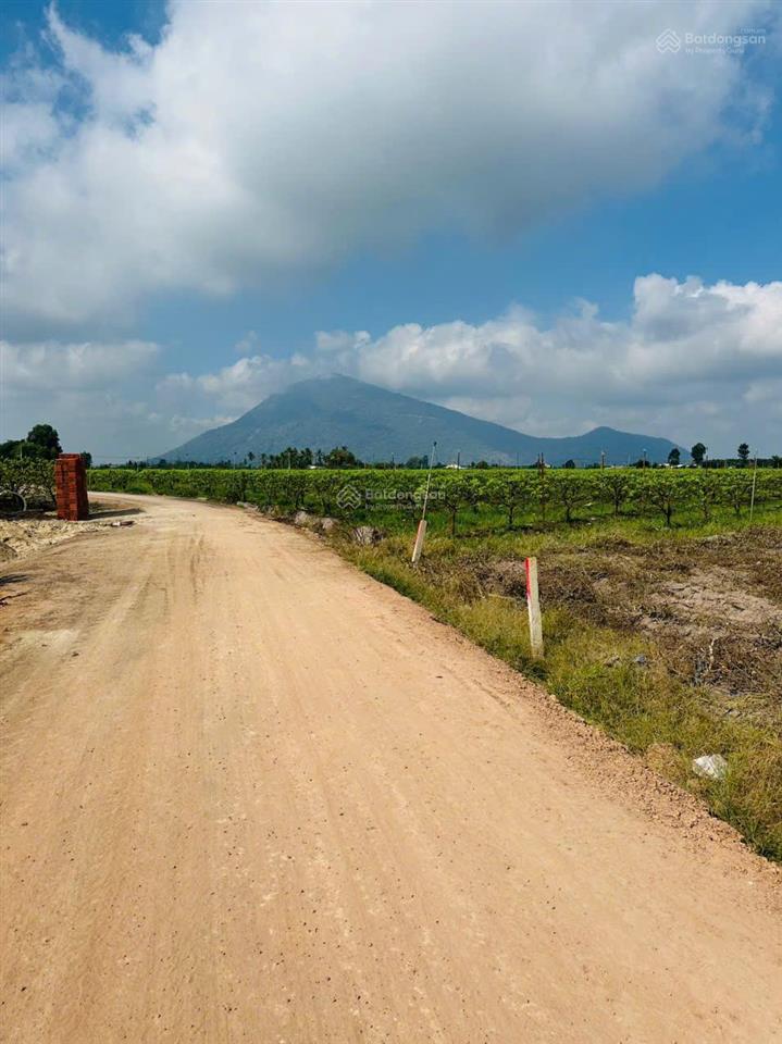 Bán đất suối đá, dương minh châu, tây ninh  5x50m, giá 295 triệu