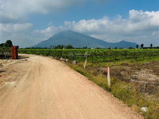 Bán đất suối đá, dương minh châu, tây ninh  5x50m, giá 295 triệu