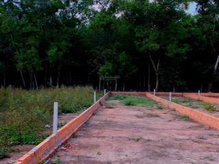 Bán đất chơn thành bình phước 512m2  sổ sẵn thổ cư  giá đầu tư 650 triệu