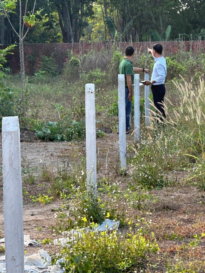 Bán đất phú giáo bình dương 172,1m2  nở hậu tài lộc  đường nhựa an bình 34  giá 660 triệu
