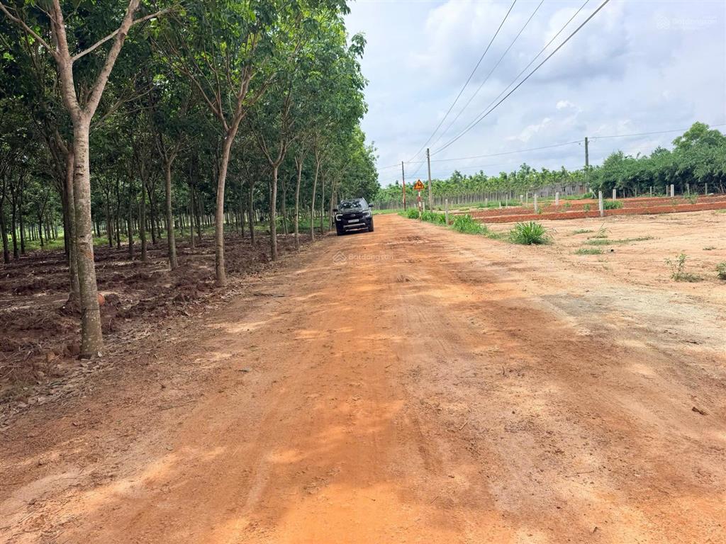 Bán đất nền thổ cư truông mít tây ninh, giá 368 triệu, sẵn sàng sử dụng  0966 822 ***