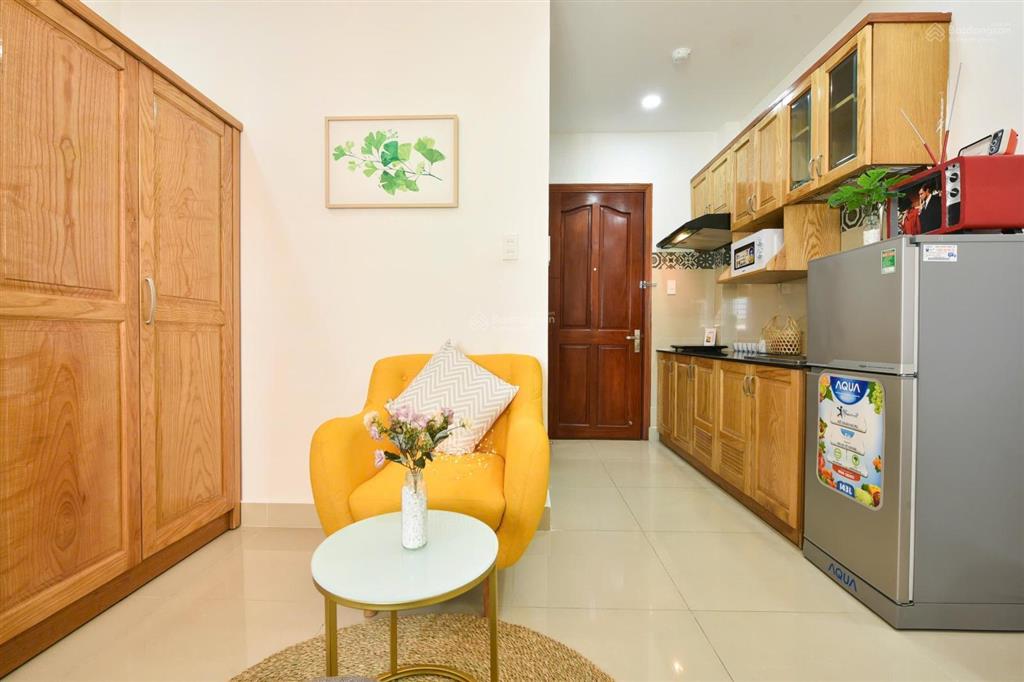 Căn hộ cho thuê ngay trần hưng đạo quận 1, thang máy  máy giặt riêng, ban công