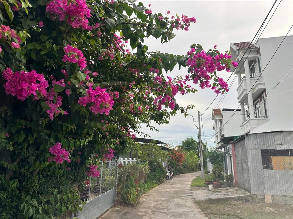 Lô đất góc 2 mặt tiền tây nha trang 81.9m2 bám đường 15.85m đường ô tô 7 chỗ thông d30  2.9 tỷ
