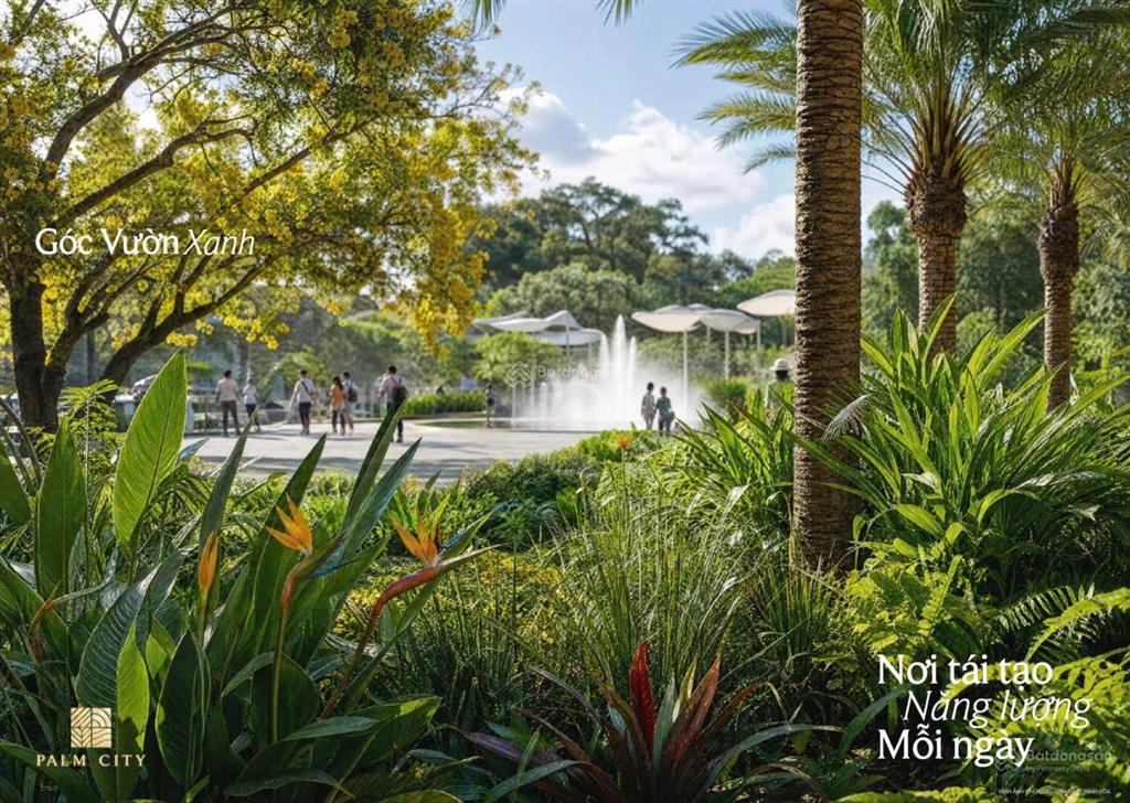 Palm river sắp mở bán  có gì đáng chờ đợi? giá dự kiến ra sao?