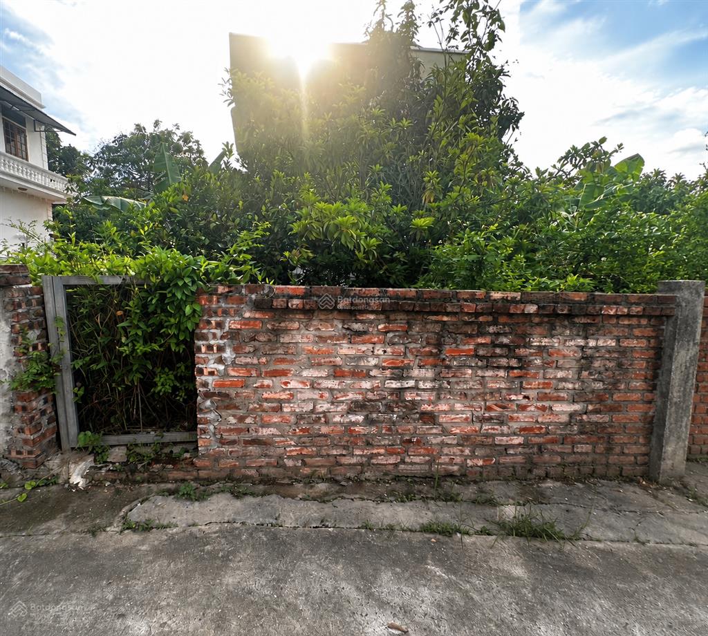 Mặt ngõ, ô tô, diện tích rộng, giá rẻ.
