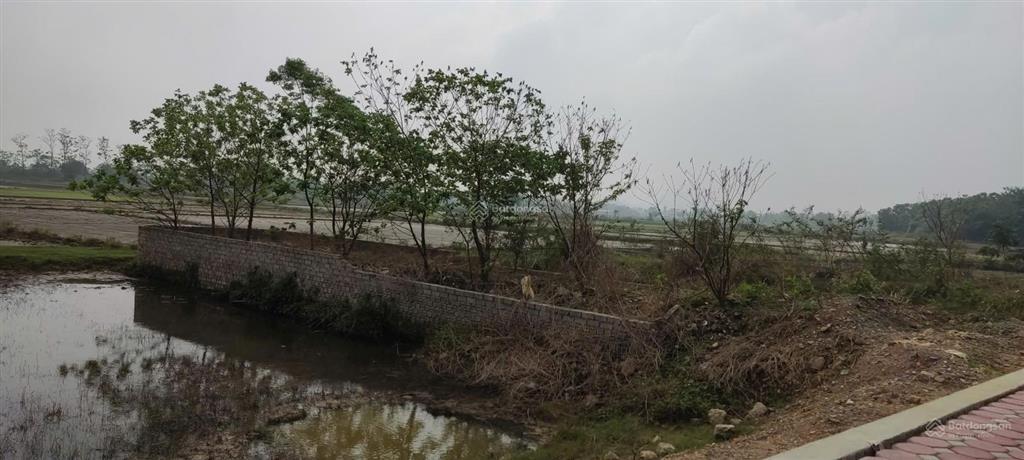 Cc bán đất la thành, chương mỹ 100m2, vị trí đẹp, tiện ích đầy đủ, sđcc, giao dịch ngay