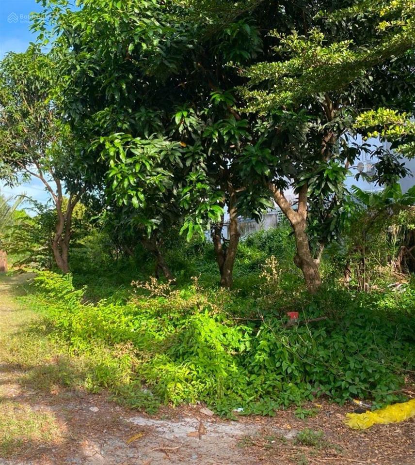 Bán đất lê văn lương hiện hữu bề ngang khủng gần 16m đường xe hơi gần trường học