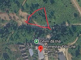 Bán trang trại đẹp, nhiều tiện ích tại thị trấn trạm tấu, 1,6 triệu vnd, 1100 m2