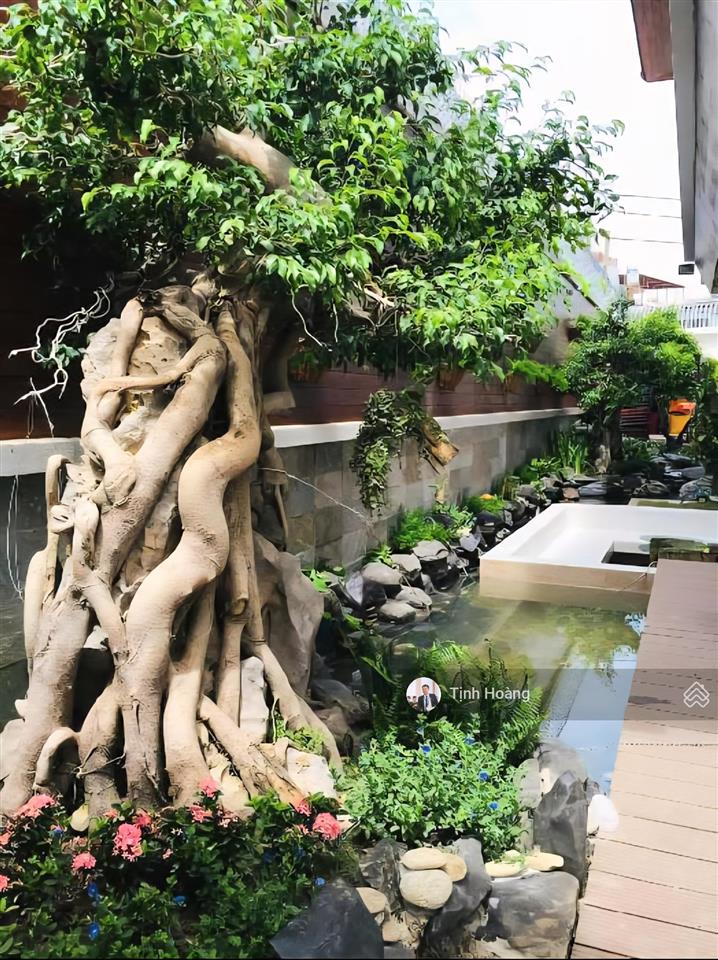 Dt lớn 350m2  tặng biệt thự sân vườn  chính chủ lâu đời  tân hưng  quận 7