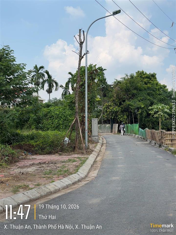 Tt dương xá  hiếm  giá đầu tư  tương lai sáng  ô tô