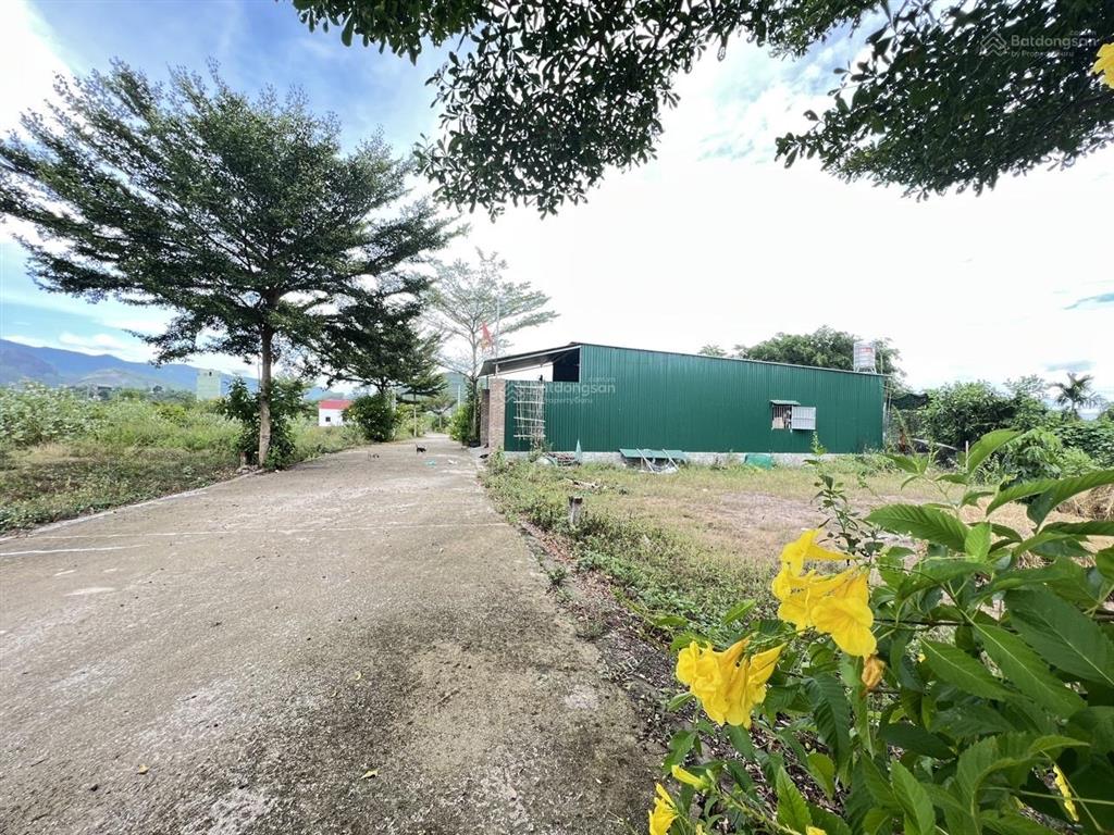 Bán đất diên lạc (diên hoà cũ) ngay cạnh đường qh 20m