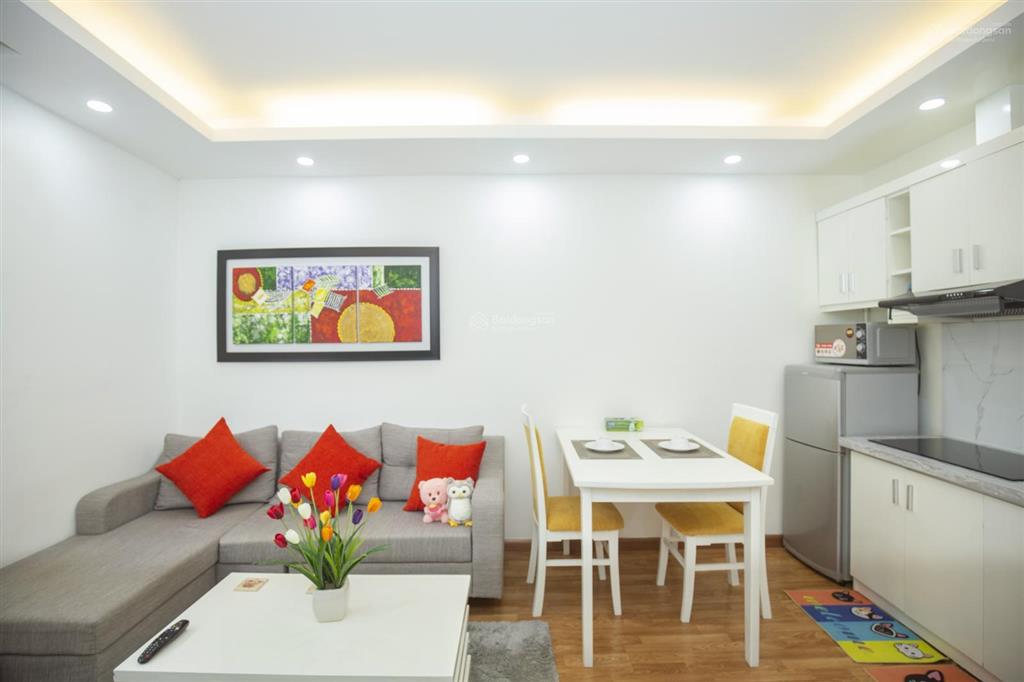 Tòa nhà sumitomo cho thuê căn hộ dịch vụ 1 ngủ 65m2 tại đào tấn gần lotte