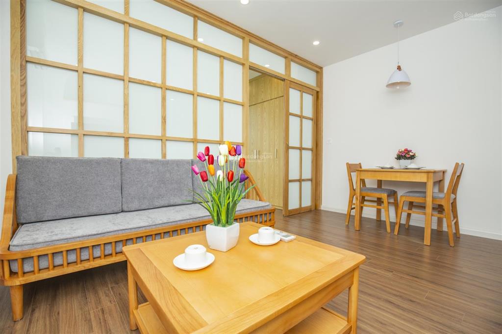 Căn hộ dịch vụ phố phan kế bính cho thuê căn 1 ngủ 55m2, thoáng có ban công rộng