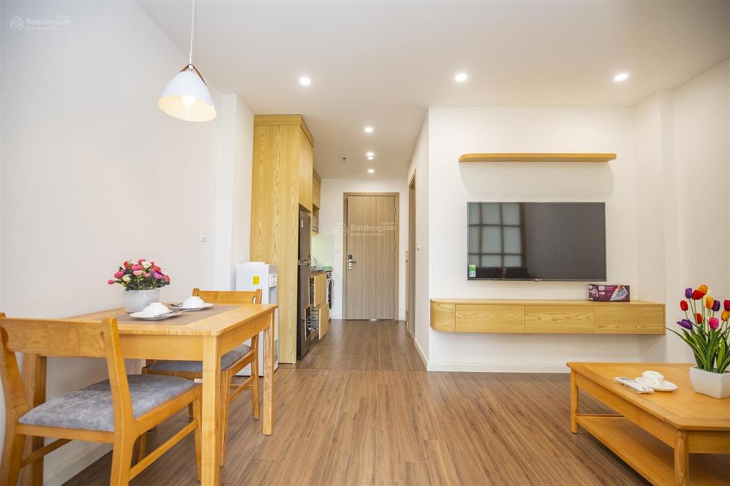 Căn hộ dịch vụ phố phan kế bính cho thuê căn 1 ngủ 55m2, thoáng có ban công rộng