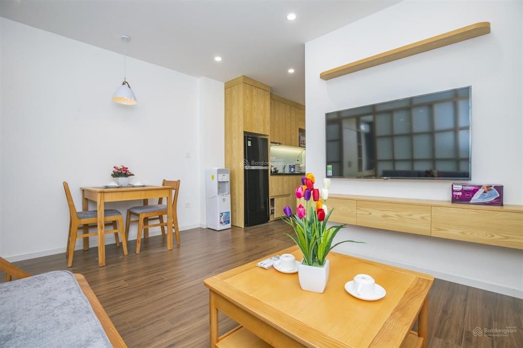 Căn hộ dịch vụ phố phan kế bính cho thuê căn 1 ngủ 55m2, thoáng có ban công rộng