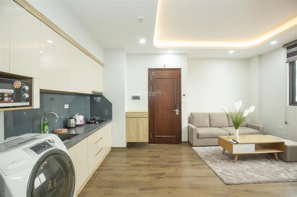Căn hộ dịch vụ phố đào tấn cho thuê căn 1 ngủ 60m². giá thuê căn hộ 19.5tr/tháng.