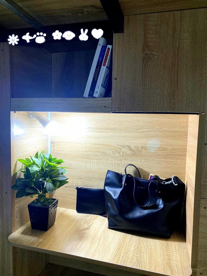 Cho thuê sleepbox cao cấp 82 võ thị sáu, quận 1