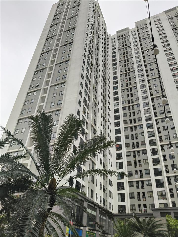 Bán cc ecohome 3, tân xuân, 6,4 tỷ, 80m², view đẹp hiếm có tại bắc từ liêm