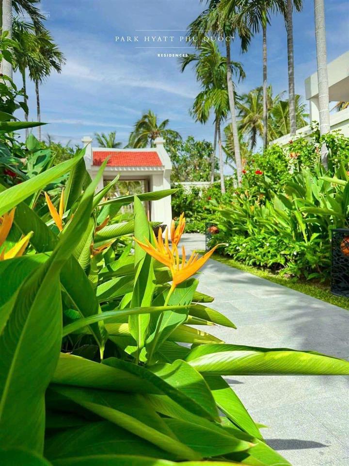 Bán biệt thự park hyatt phú quốc, giá tốt 135 tỷ, 1700 m2, 3pn, 4wc