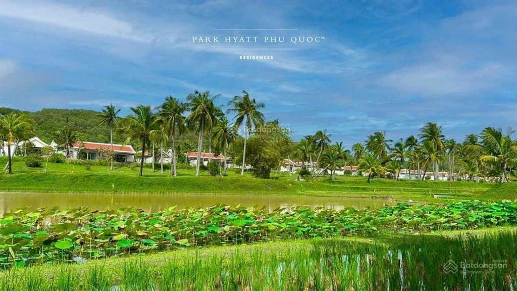 Bán biệt thự park hyatt phú quốc, giá tốt 135 tỷ, 1700 m2, 3pn, 4wc