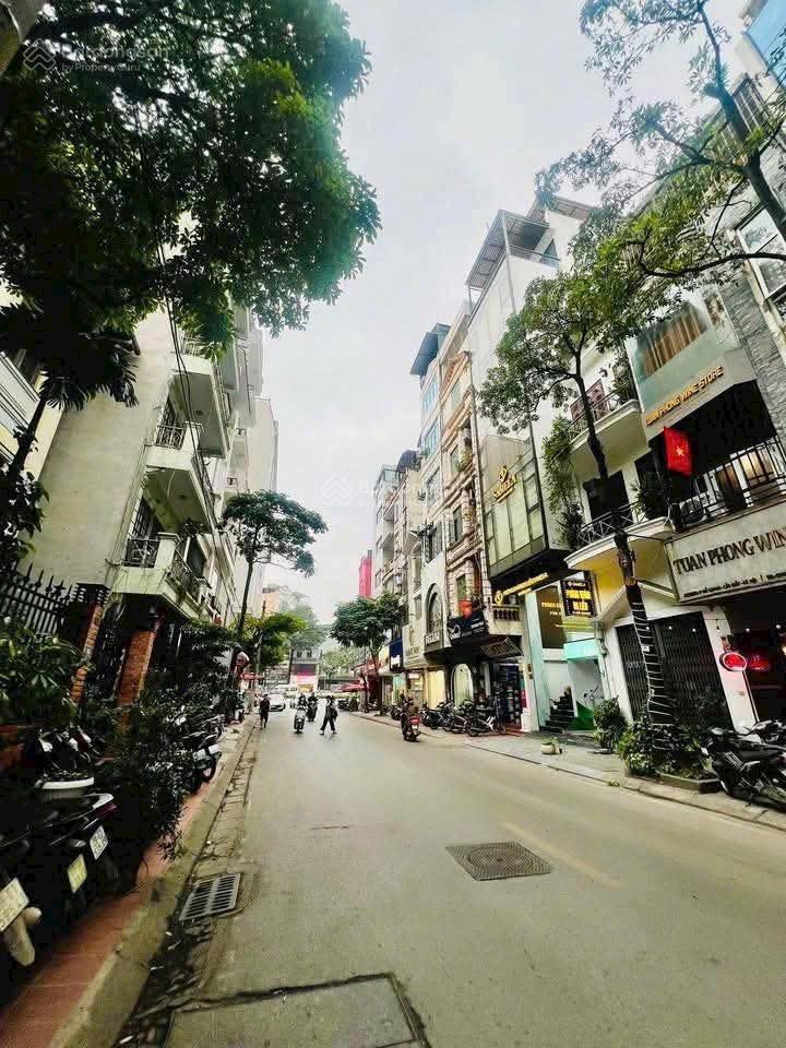 Bán nhà riêng tại phố hào nam gần ga cát linh gara ôtô 7 tầng thang máy kinh doanh 65m, giá 24,8tỷ