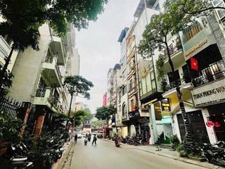 Bán nhà riêng tại phố hào nam gần ga cát linh gara ôtô 7 tầng thang máy kinh doanh 65m, giá 24,8tỷ