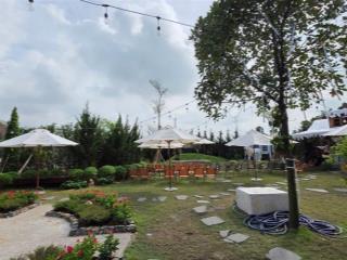 Bán đất bình quới, thanh đa, 7150m2, chỉ 160 tỷ, cần bán gấp