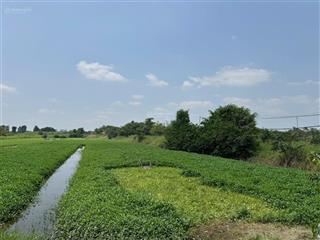 Bán 70.000m2 đất mặt tiền thạnh xuân 52, đông thạnh, hóc môn, chỉ 500 tỷ, làm dự án