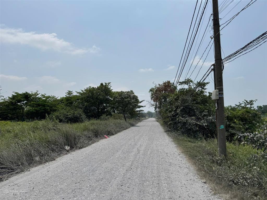 Bán 70.000m2 đất mặt tiền thạnh xuân 52, đông thạnh, hóc môn, chỉ 500 tỷ, làm dự án