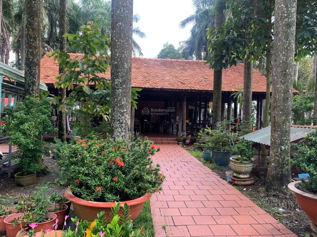 Đất hồ văn tắng, củ chi, 10.800m2, chỉ 62 tỷ, cần bán