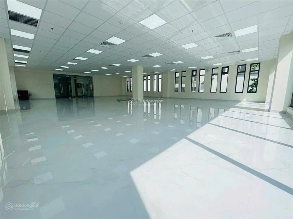 Tòa nhà quận 1, 17x25, 2 hầm 6 tầng, 250 tỷ, kết cấu hoàn chỉnh