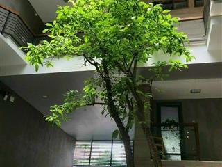 Bán villa hồ bơi sân vườn đẹp nhất tân định quận 1  13x20m hầm 5 lầu. giá 86 tỷ