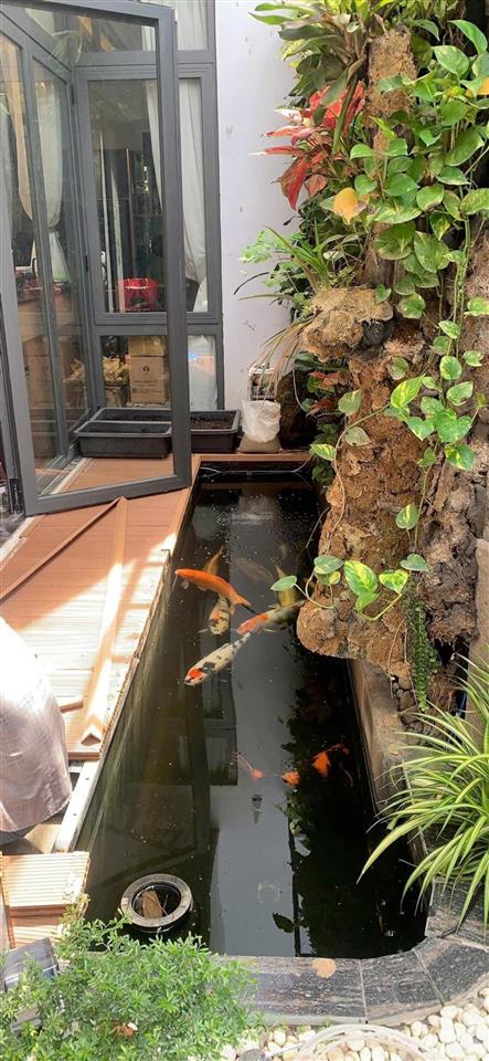 Biệt thự sân vườn tú xương quận 3  10x16m trệt 3 lầu sân thượng, thang máy, giá 65 tỷ