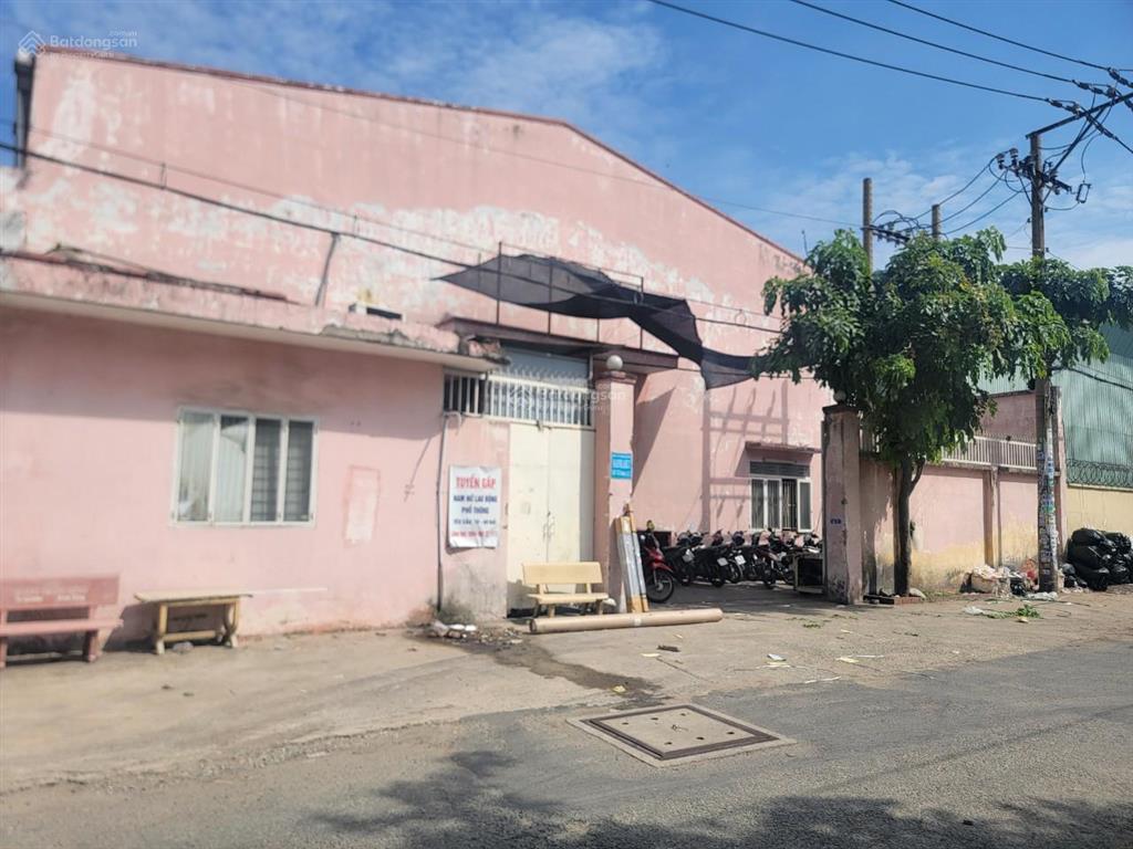 Bán nhà đất khủng hẻm 12m quận bình tân, diện tích 50m x 50m full thổ, thích hợp phân lô, 135 tỷ