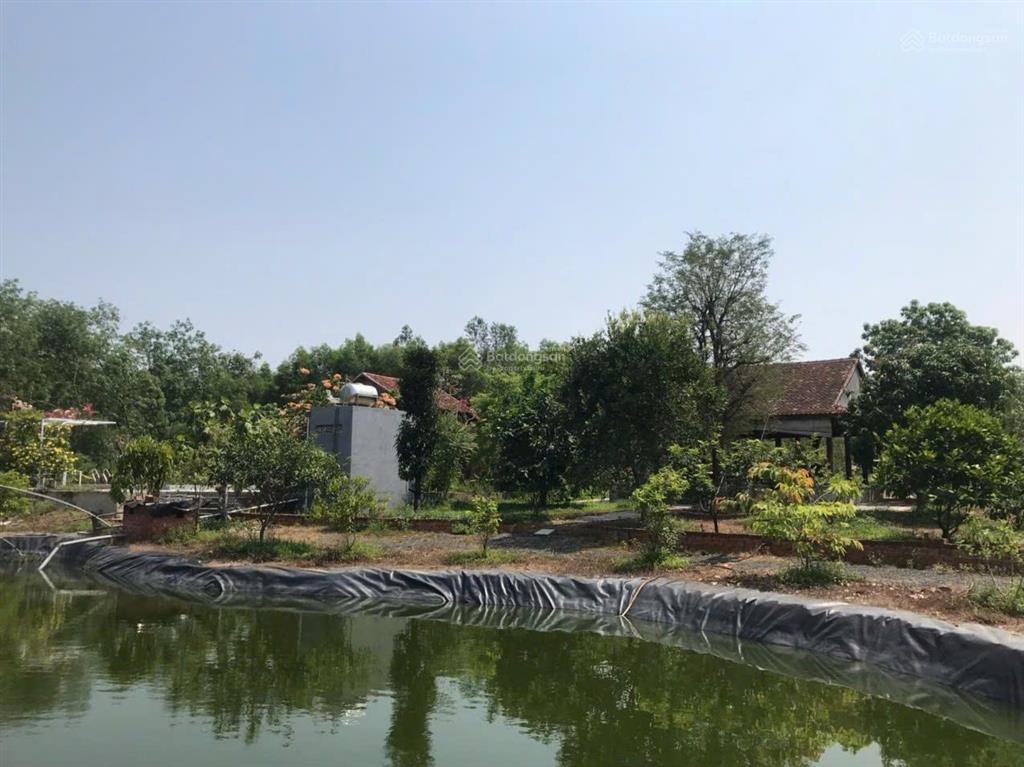 Bán homestay gần 7000m2. đường ôtô. sát kdl núi cậu  sổ hồng hồ bơi  nhà  vườn cây. giá 12 tỷ 5