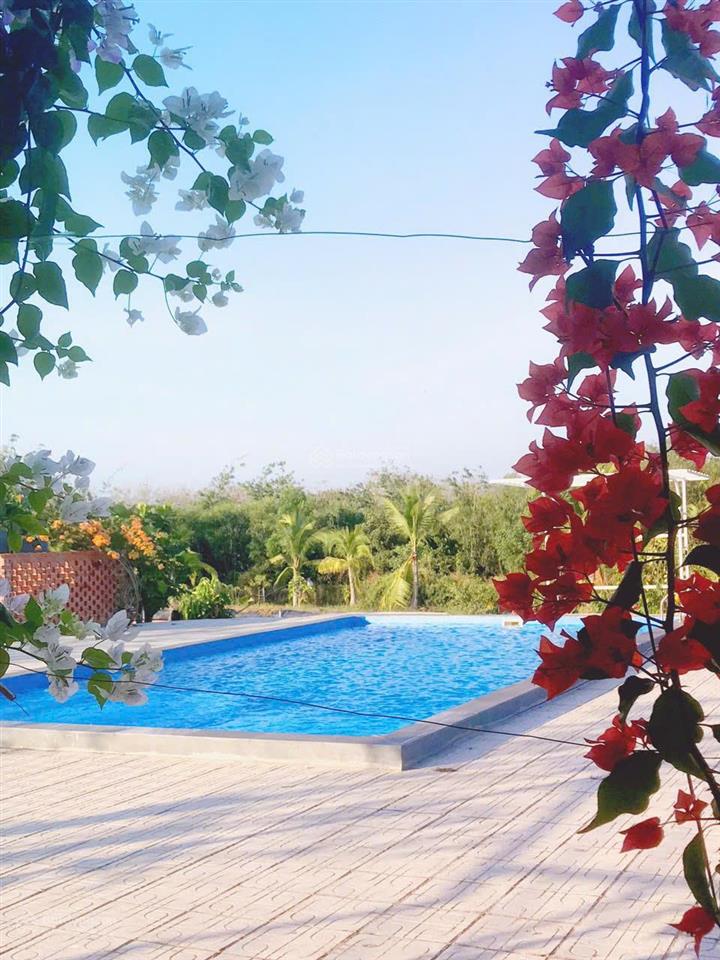 Bán homestay gần 7000m2. đường ôtô. sát kdl núi cậu  sổ hồng hồ bơi  nhà  vườn cây. giá 12 tỷ 5