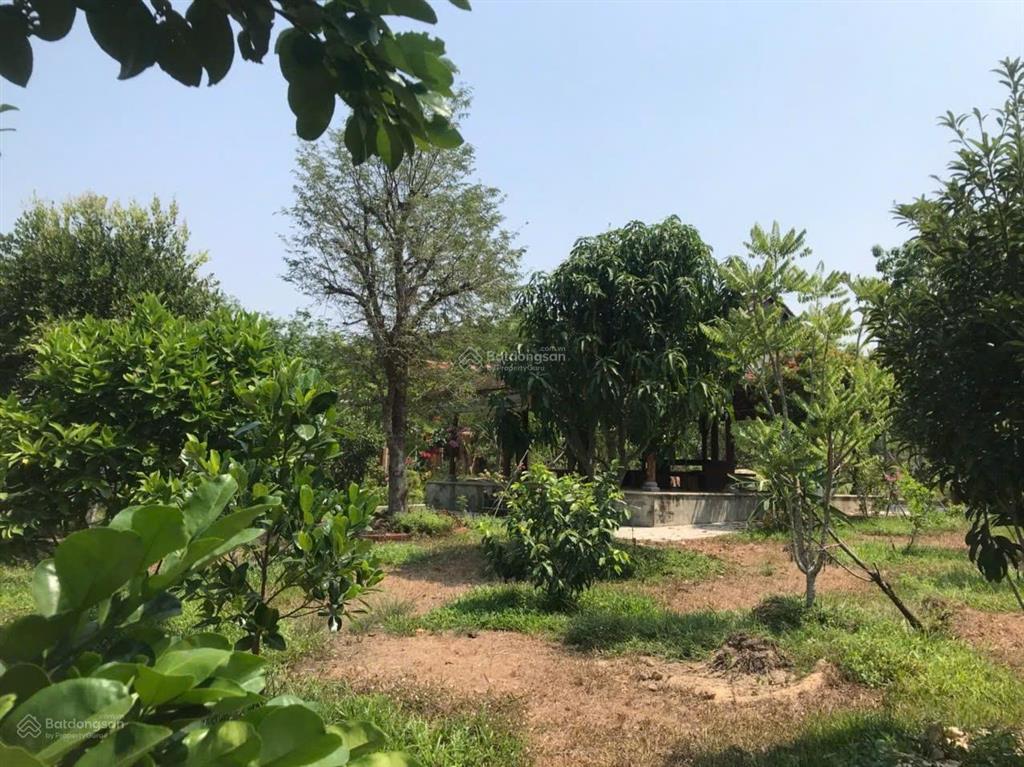Bán homestay gần 7000m2. đường ôtô. sát kdl núi cậu  sổ hồng hồ bơi  nhà  vườn cây. giá 12 tỷ 5