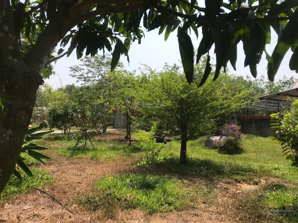 Bán homestay gần 7000m2. đường ôtô. sát kdl núi cậu  sổ hồng hồ bơi  nhà  vườn cây. giá 12 tỷ 5