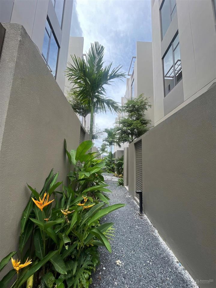 Bán nhà phố tại the orchard sycamore, 10,8 tỷ, 90m2, 4pn, 4wc, 3 tầng