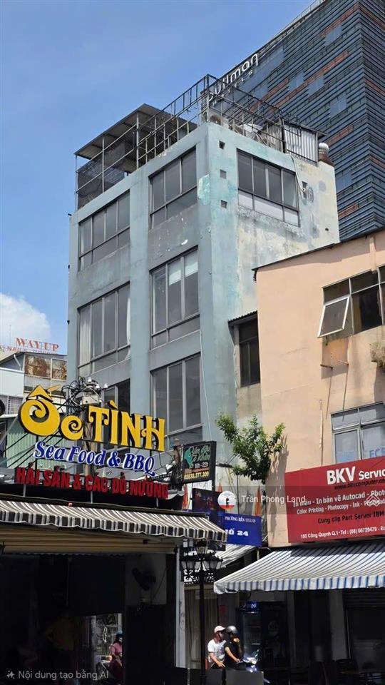 Chính chủ gửi cho thuê nhà hẻm xe hơi 102/4 cống quỳnh, p. phạm ngũ lão, q1, 8x6m, 0908 140 ***