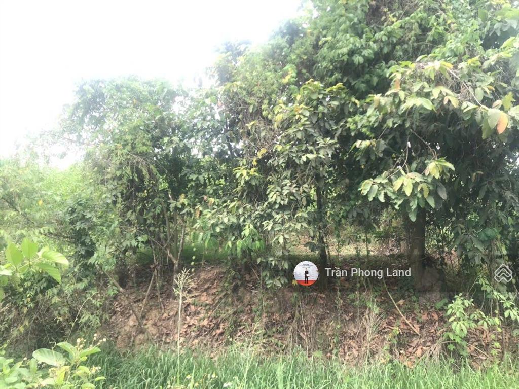 Chính chủ gửi bán lô đất xã tân an, h. vĩnh cửu, đồng nai, 11900.3m2, giá 9.5 tỷ, 0938 140 ***