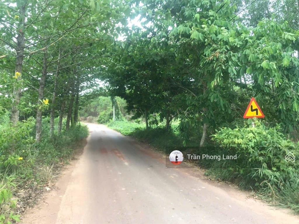 Chính chủ gửi bán lô đất xã tân an, h. vĩnh cửu, đồng nai, 11900.3m2, giá 9.5 tỷ, 0938 140 ***