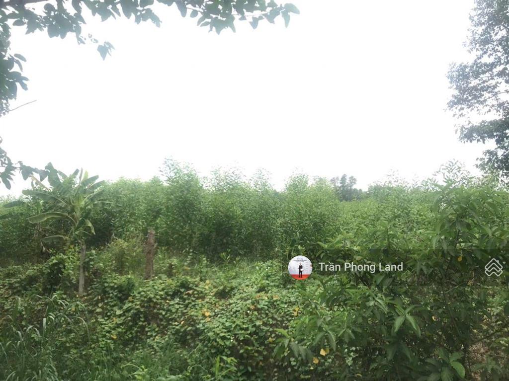 Chính chủ gửi bán lô đất xã tân an, h. vĩnh cửu, đồng nai, 11900.3m2, giá 9.5 tỷ, 0938 140 ***