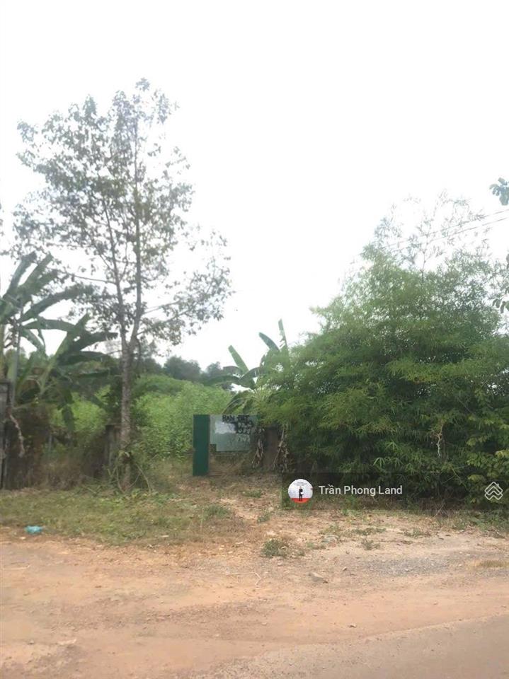 Chính chủ gửi bán lô đất xã tân an, h. vĩnh cửu, đồng nai, 11900.3m2, giá 9.5 tỷ, 0938 140 ***