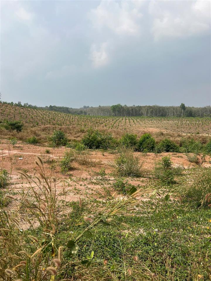 Bán gấp kho, nhà xưởng 29,000 m2 tại phường hội nghĩa, tp tân uyên, bình dương