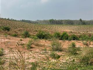 Bán gấp kho, nhà xưởng 29,000 m2 tại phường hội nghĩa, tp tân uyên, bình dương