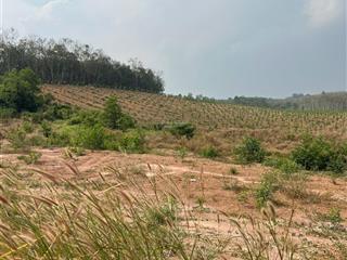 Bán đất tân uyên 29.000 m2 mẫu đã có giấy phép xây dựng  0978 627 ***